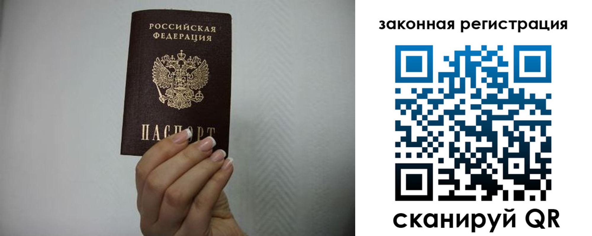 прописка в Купино